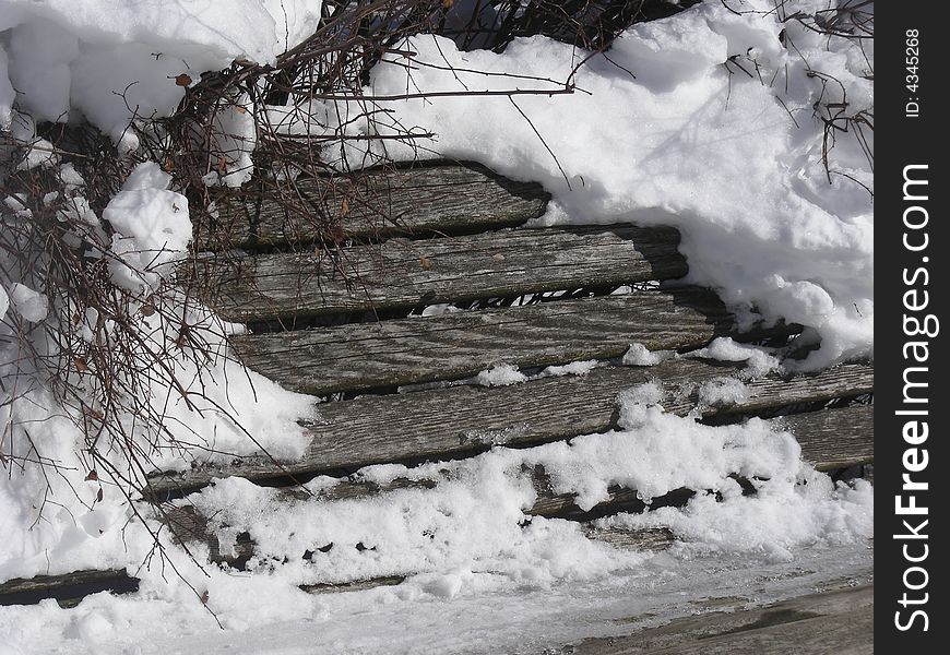 At least the path up to the bench had been cleared off. At least the path up to the bench had been cleared off.