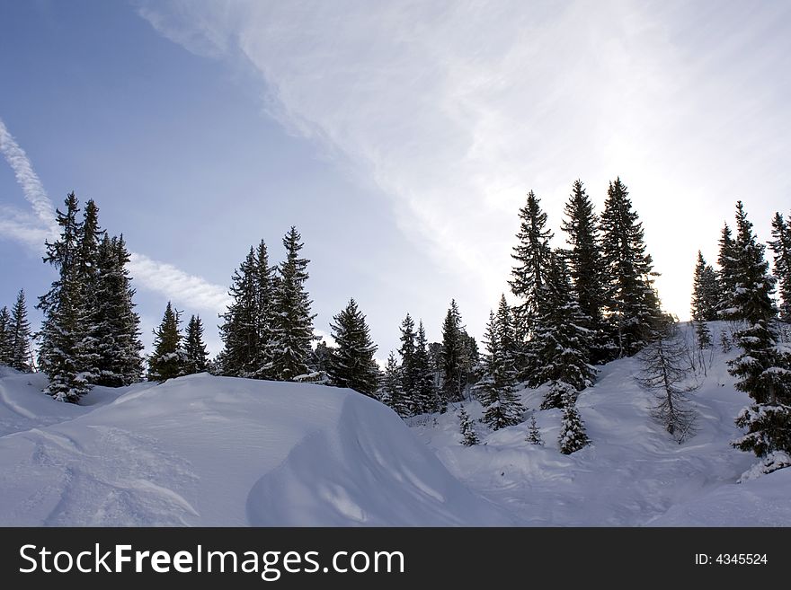 A picture of snow covered trees back-lit by the sun on top of a snowy ridge. A picture of snow covered trees back-lit by the sun on top of a snowy ridge