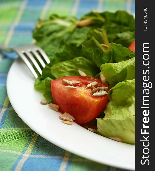 Fresh vegetable salad with tomatoes and lettuce