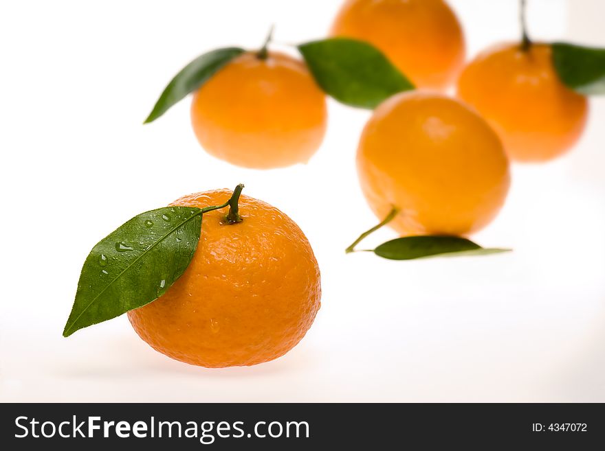 Grouping of orange tangerines with leafs  isolated on white. Grouping of orange tangerines with leafs  isolated on white