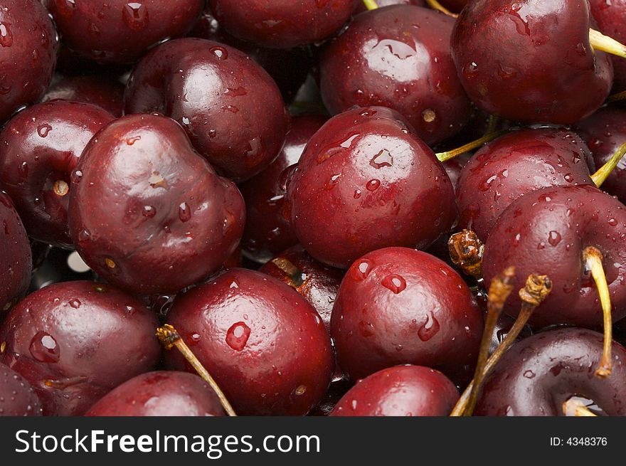 Bunch of Fresh Cherries sprinkled with water drops.