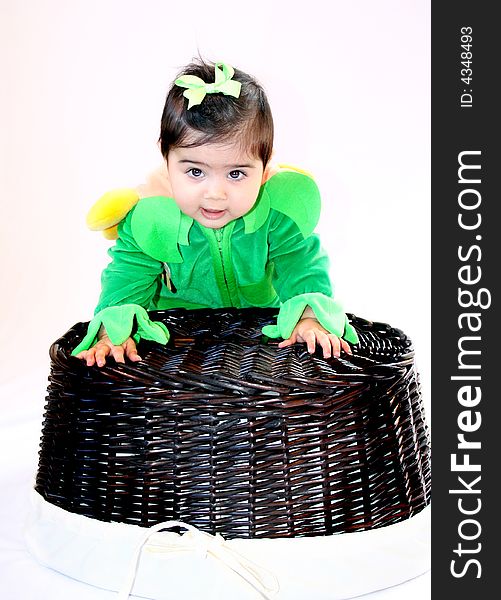 A six months old baby dressed as a sunflower for halloween. A six months old baby dressed as a sunflower for halloween