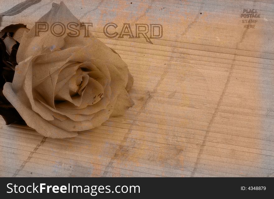 Vintage Grunge Style Postcard With Rose on Bamboo