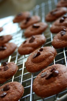 Crunchy Chocolate Cookies Stock Image Crunchy Chocolate Cookies Stock Image