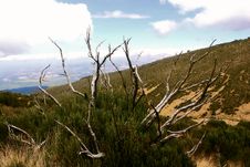 Mountain Kenya Royalty Free Stock Photos Mountain Kenya Royalty Free Stock Photos