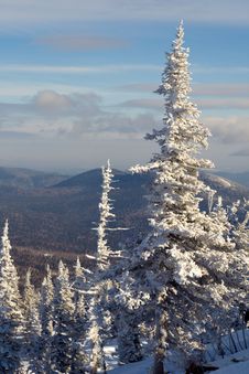 Alpine Slope Covered With Snow Royalty Free Stock Photos Alpine Slope Covered With Snow Royalty Free Stock Photos