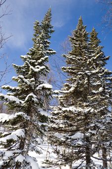 Alpine Slope Covered With Snow Stock Images Alpine Slope Covered With Snow Stock Images