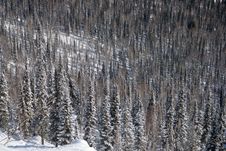Alpine Slope Covered With Snow Stock Images Alpine Slope Covered With Snow Stock Images