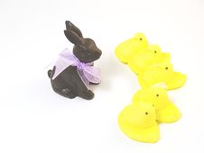 Chocolate Easter Bunny With Chicks Royalty Free Stock Photo