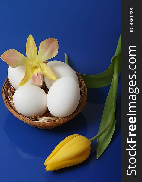 Easter eggs in basket with yellow tulip and orchid on blue background.