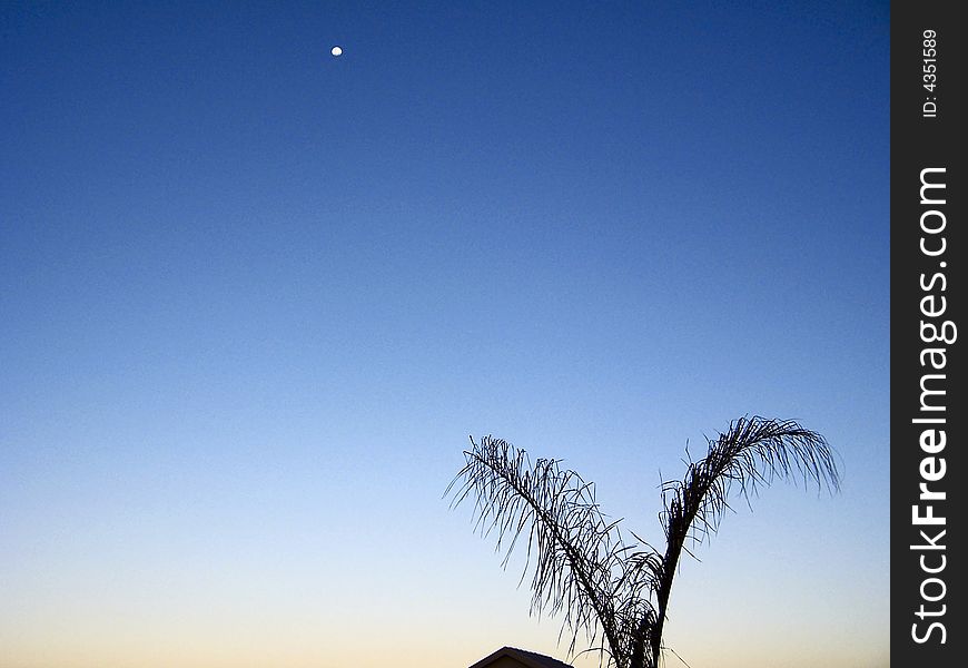 Early one evening, on the Highveld, Johannesburg, South Africa. Early one evening, on the Highveld, Johannesburg, South Africa