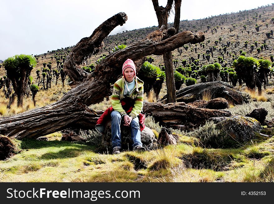 The girl resting on Mountain Kenya. The girl resting on Mountain Kenya