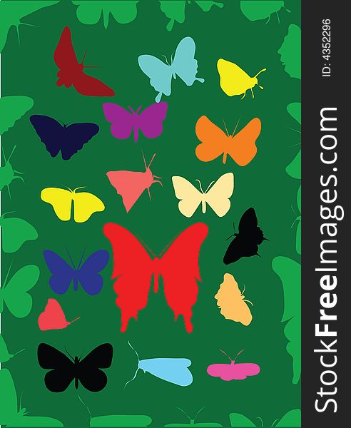 Butterfly in many color on green background. Butterfly in many color on green background