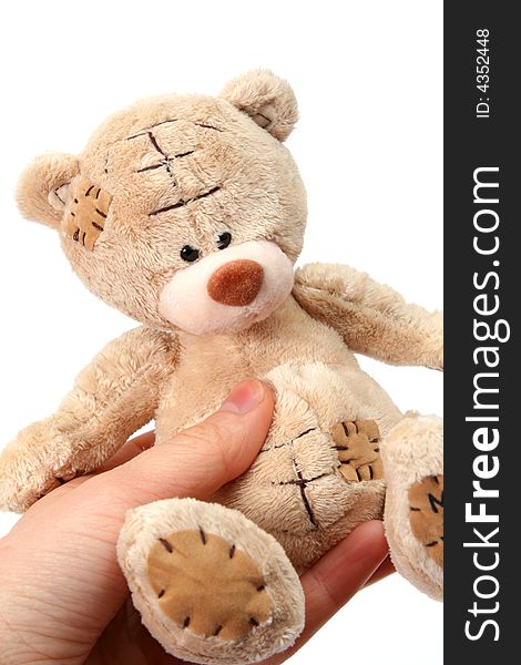 Teddy bear on white background