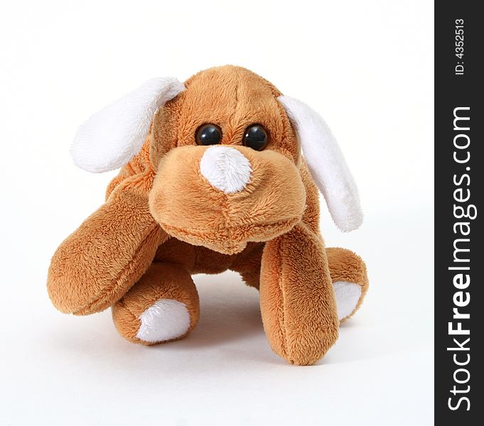 Soft toy dog on white background