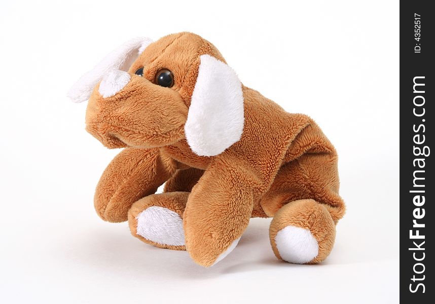 Soft Toy Dog