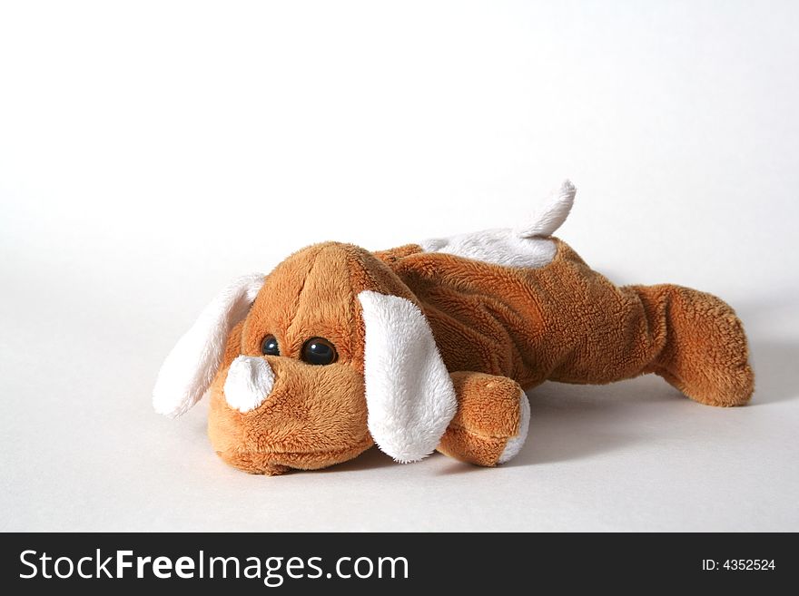 Soft Toy Dog