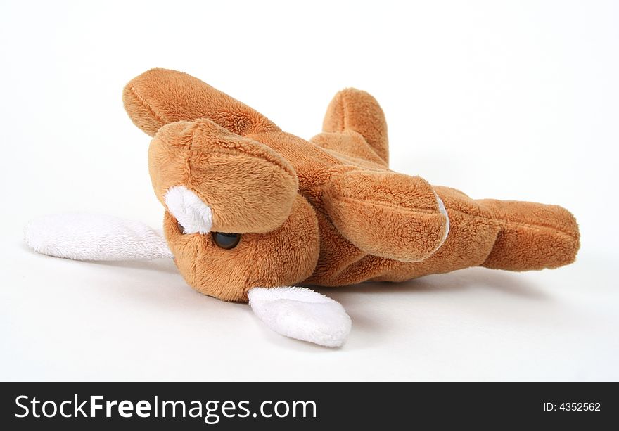 Soft Toy Dog