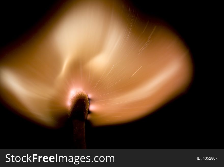 Close up photo of a burning match