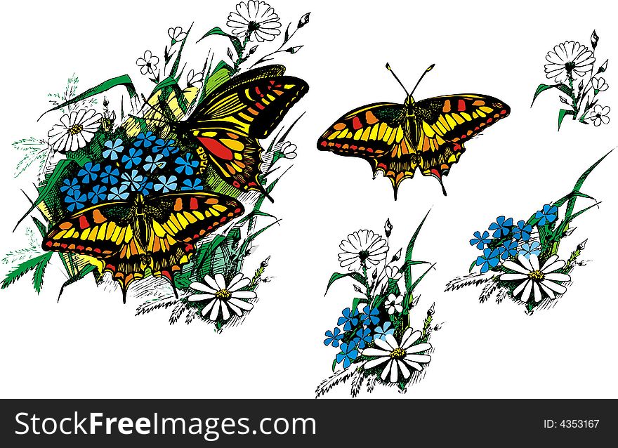 Flowers And Butterflys