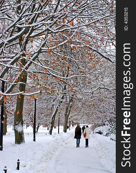 Stock image of a snowing winter at Boston, Massachusetts, USA. Stock image of a snowing winter at Boston, Massachusetts, USA