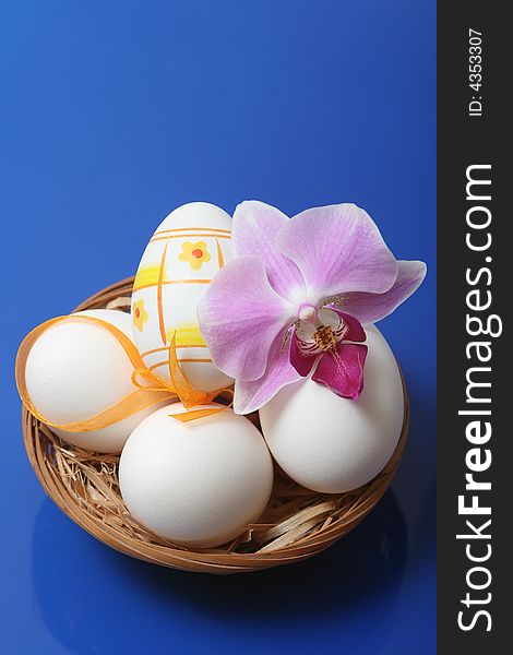 Easter eggs in basket with orchid on blue background.