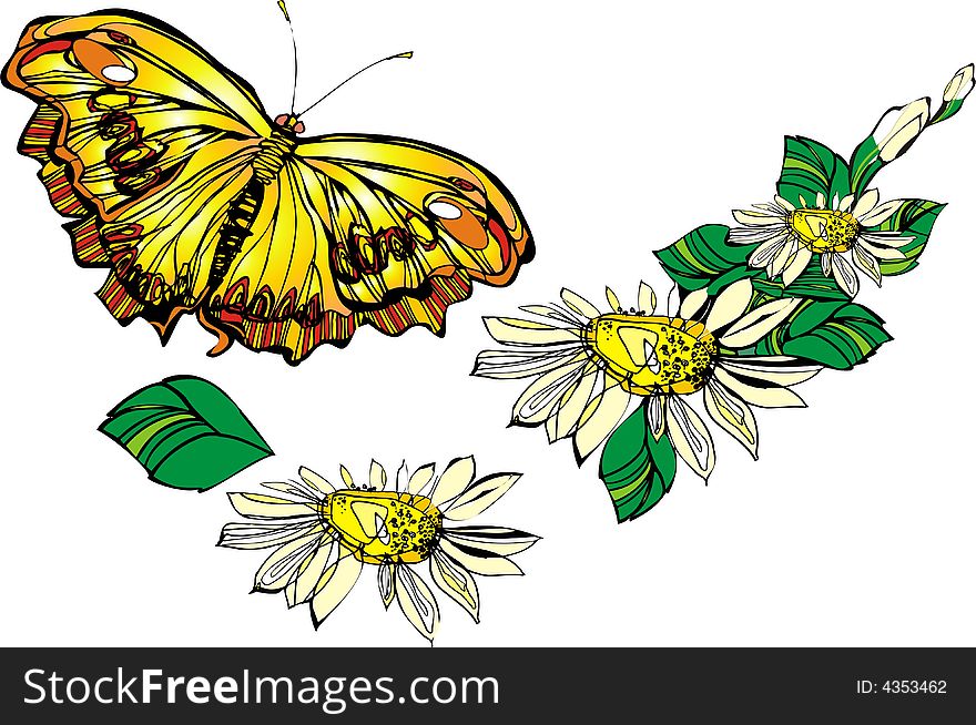 Flower, camomile and flying butterfly, vector. Flower, camomile and flying butterfly, vector