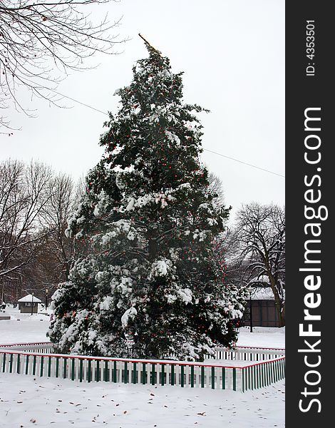 Stock image of a snowing winter at Boston, Massachusetts, USA. Stock image of a snowing winter at Boston, Massachusetts, USA