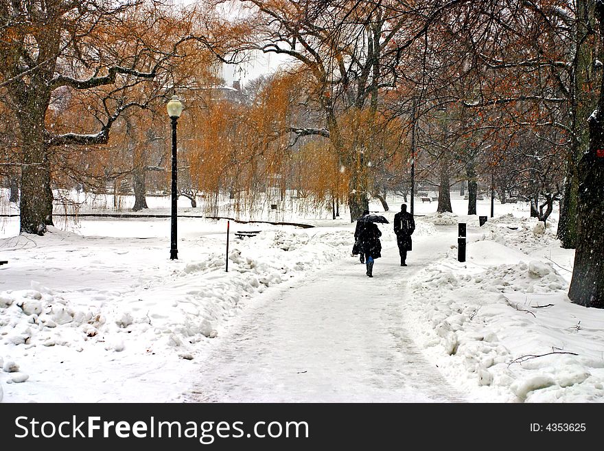 Stock image of a snowing winter at Boston, Massachusetts, USA. Stock image of a snowing winter at Boston, Massachusetts, USA