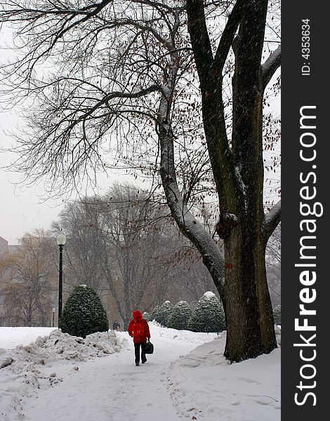 Stock image of a snowing winter at Boston, Massachusetts, USA. Stock image of a snowing winter at Boston, Massachusetts, USA