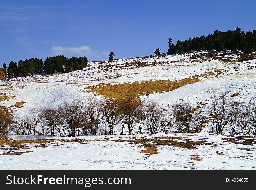 Snow covers meadow under the blue sky. Snow covers meadow under the blue sky