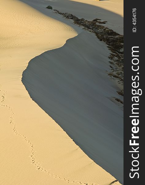 Sand dunes near Stovepipe Wells, Death Valley