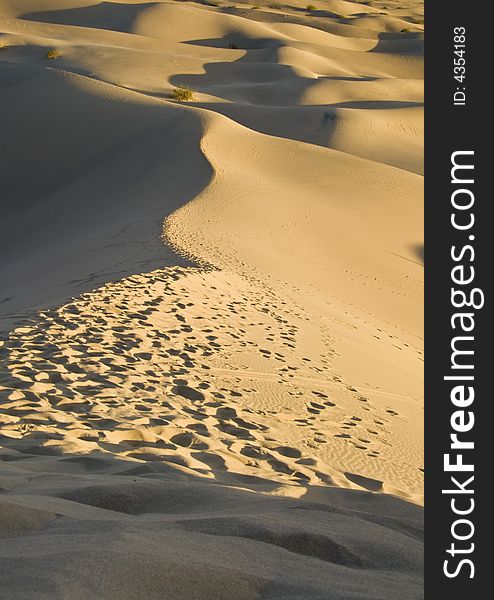 Sand Dunes Near Stovepipe Wells, Death Valley