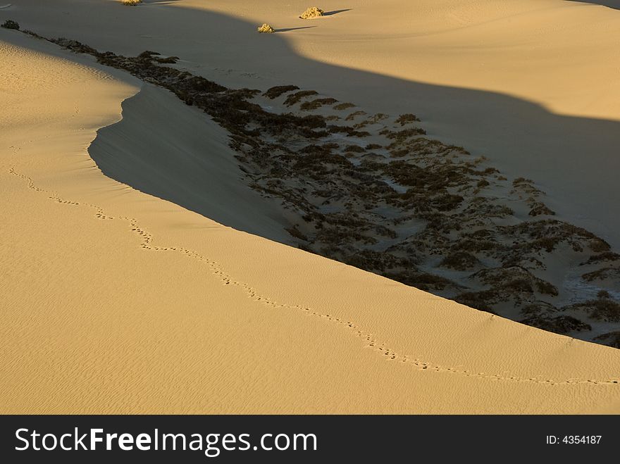 Sand Dunes near Stovepipe Wells in Death Valley National Park , California. Sand Dunes near Stovepipe Wells in Death Valley National Park , California