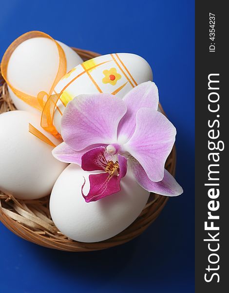 Easter eggs in basket with orchid on blue background.