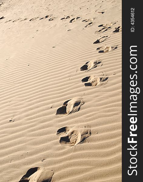 Footprints in the sand. Perfect to use as a travel or nature background. Footprints in the sand. Perfect to use as a travel or nature background.