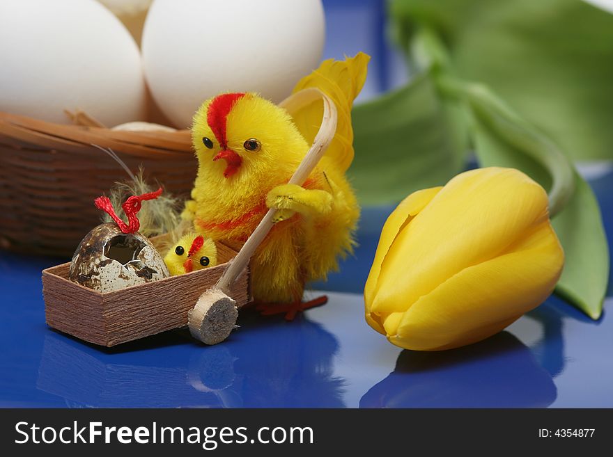 Easter motive.Hen and her chick with yellow tulip,white eggs on blue background.