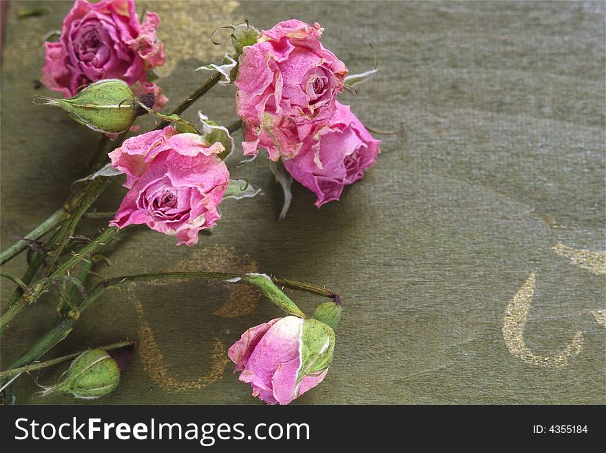 A dried rose placed on top of an old  green wood table. A dried rose placed on top of an old  green wood table