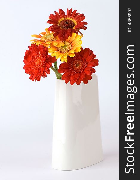 Red and orange gerberas in vase. Red and orange gerberas in vase