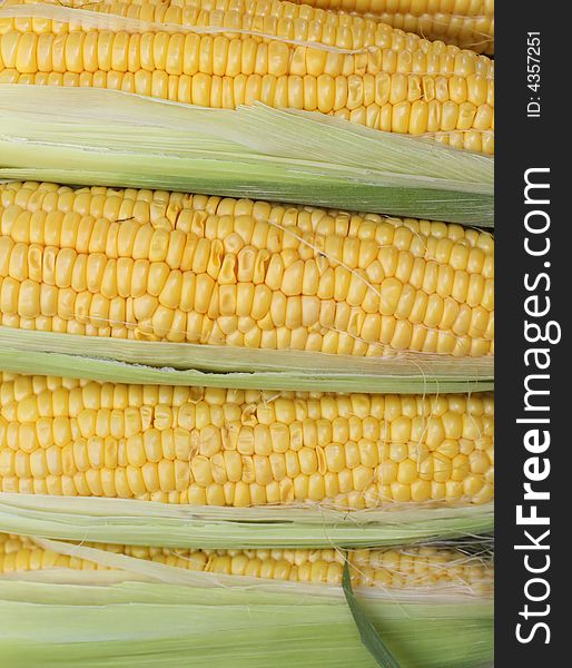 Detail image of some corn cobs  in a vegetables market