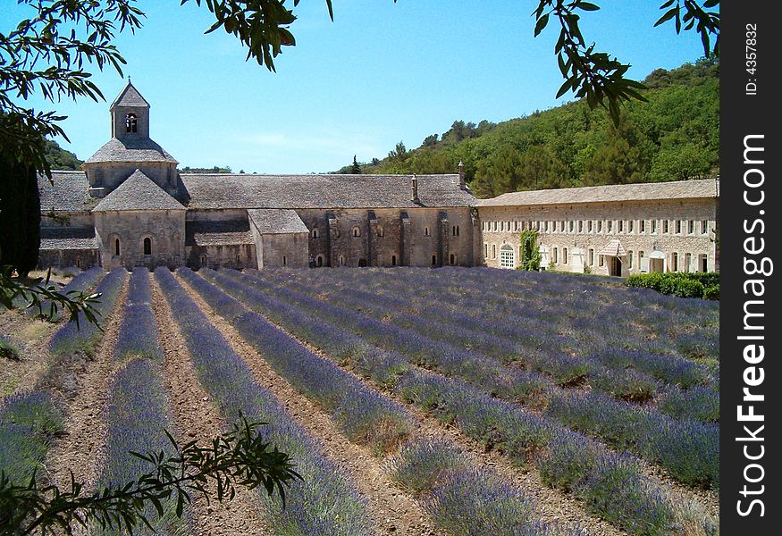 Senanque Abbey view