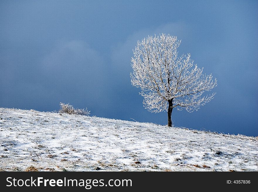 Mountain in Serbia. Winter morning with snow. Mountain in Serbia. Winter morning with snow