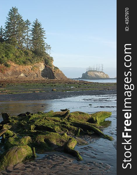 Sunset Bay at low tide - Sunset Bay State Park