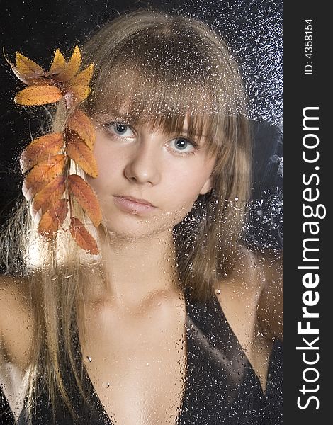 Beautiful young girl with leaves of a mountain ash behind glass