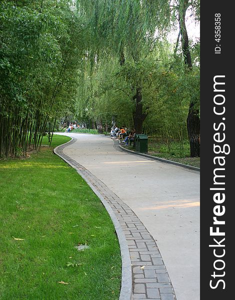 Bamboo Avenue Green park China