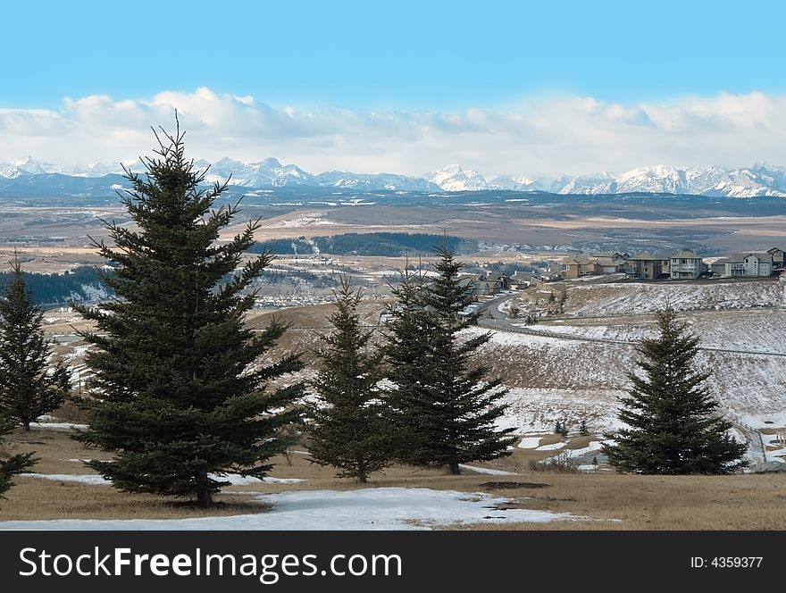 Pines and houses near Cocraine, Canadian Rockies, Alberta. Pines and houses near Cocraine, Canadian Rockies, Alberta