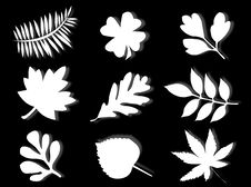Leaves Silhouette Stock Photos Leaves Silhouette Stock Photos