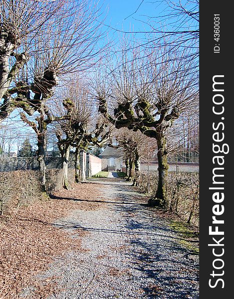 View on a garden in early spring. View on a garden in early spring