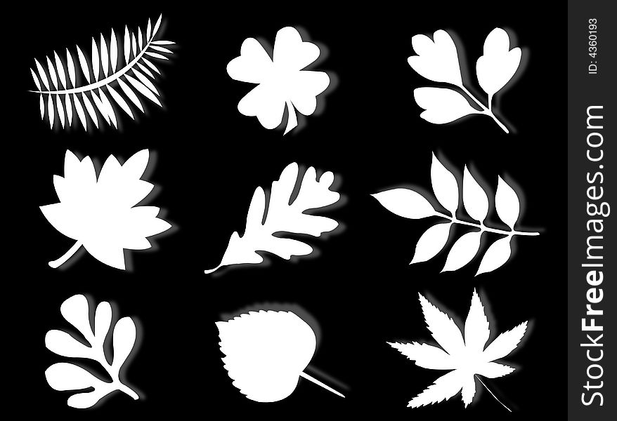 Different leaves of different trees in silhouette. Different leaves of different trees in silhouette