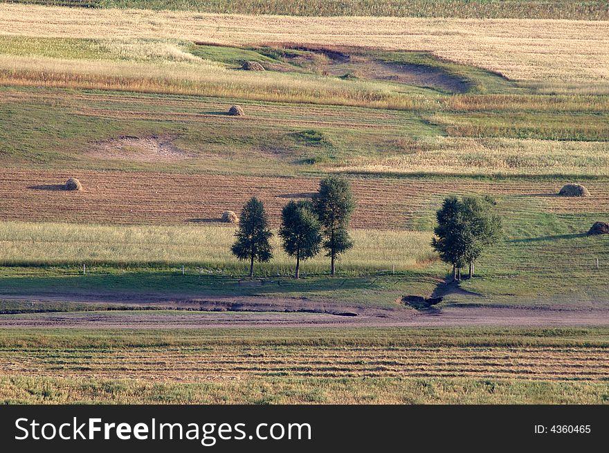 The beautiful grassland in North China